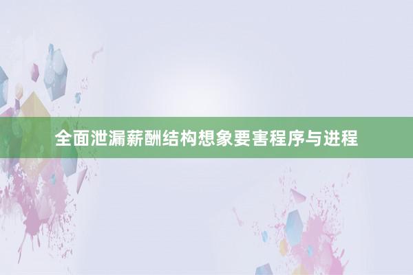 全面泄漏薪酬结构想象要害程序与进程